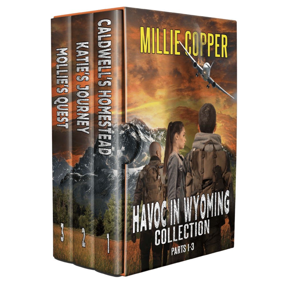 The Havoc in Wyoming Series: Christian Post-Apocalyptic Survival Thriller