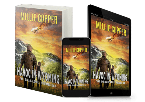 Caldwell's Homestead by Millie Copper