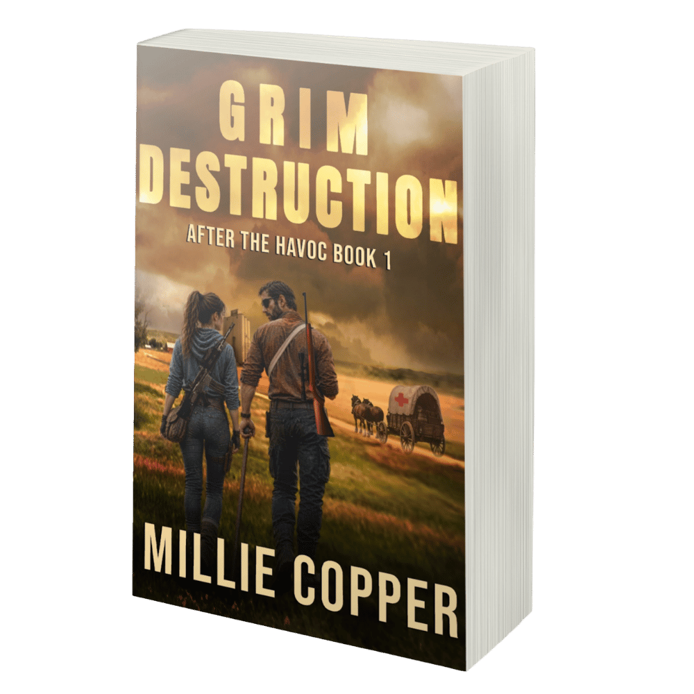 The After the Havoc Series: Christian Post-Apocalyptic Survival Thriller